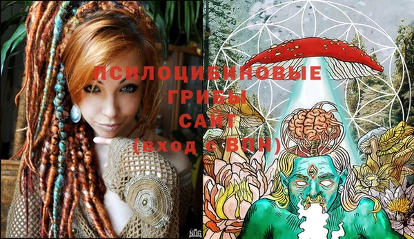 стафф Абаза