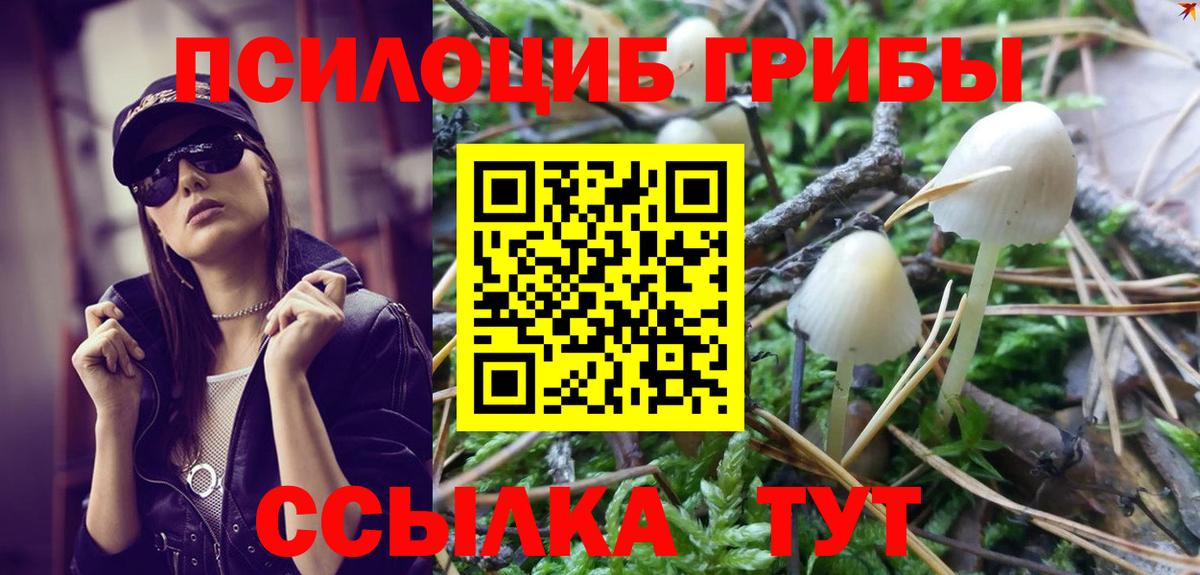 Калининград  Псилоцибиновые грибы Psilocybe  Вход с VPN 