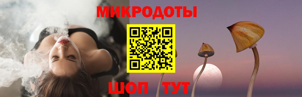 Галлюциногенные грибы Psilocybine cubensis Калининград